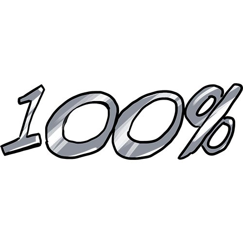 icon 100prozent
